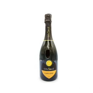 Prosecco Superiore Cartizze Spumante Dry Colsaliz