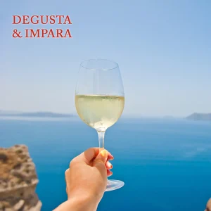 Degusta & Impara (3a edizione, 2a serata): Un Mare di Vino